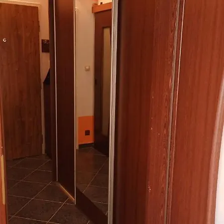 Wolf Luxusne S Plnou Vybavou S Bezplatnym Parkovanim Smart Tv A Optickym Internetom Priamo V Povazskej Bystrici Ticha Lokalita S Vsade Blizko Vhodne Pre Jednotlivcov Rodiny Pracovne Cesty Turistiku Aj Oddych Plne Vybavena Kuchyna Повазька-Бистріца