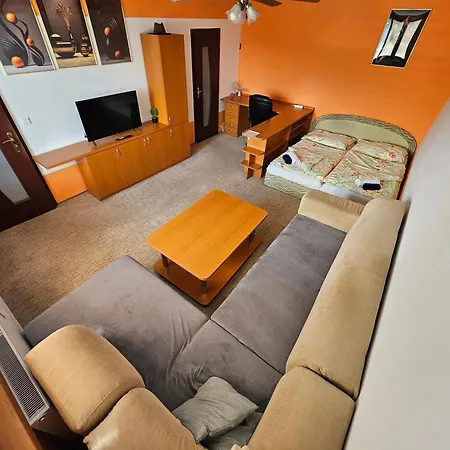 Wolf Luxusne S Plnou Vybavou S Bezplatnym Parkovanim Smart Tv A Optickym Internetom Priamo V Povazskej Bystrici Ticha Lokalita S Vsade Blizko Vhodne Pre Jednotlivcov Rodiny Pracovne Cesty Turistiku Aj Oddych Plne Vybavena Kuchyna Apartment Považská Bystrica